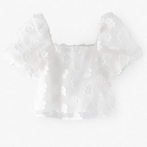 Zara Embroidered Organza Top